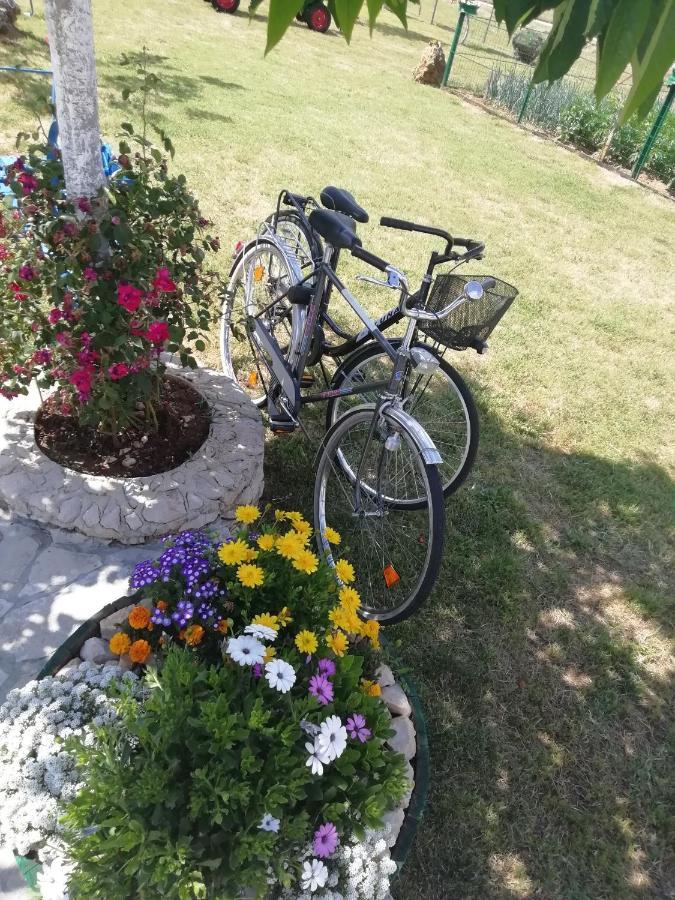 Вілла Nikini Dvori Gradac  Екстер'єр фото